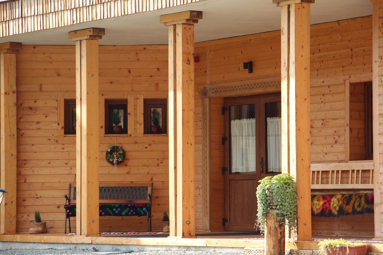 Hotel Casa Ralucai Moisei Esterno foto