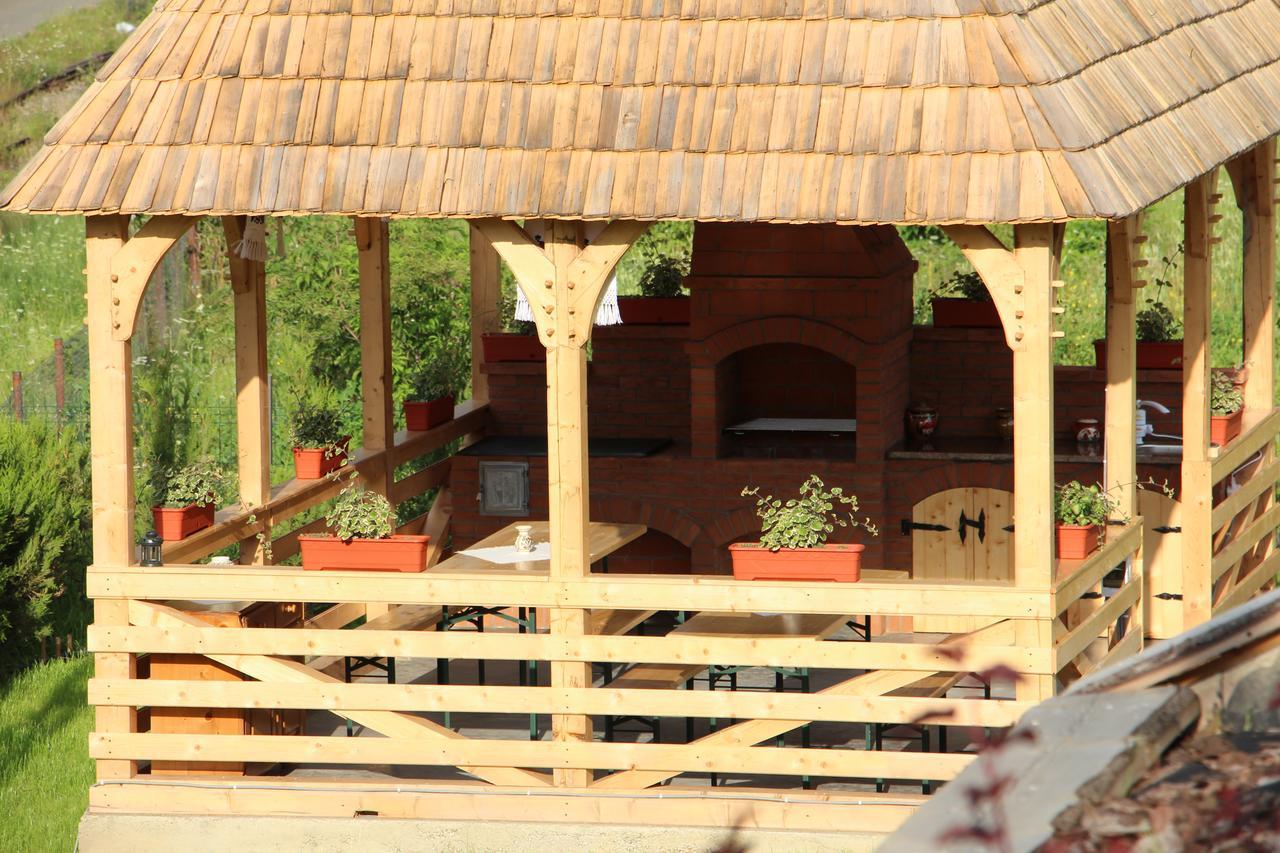 Hotel Casa Ralucai Moisei Esterno foto